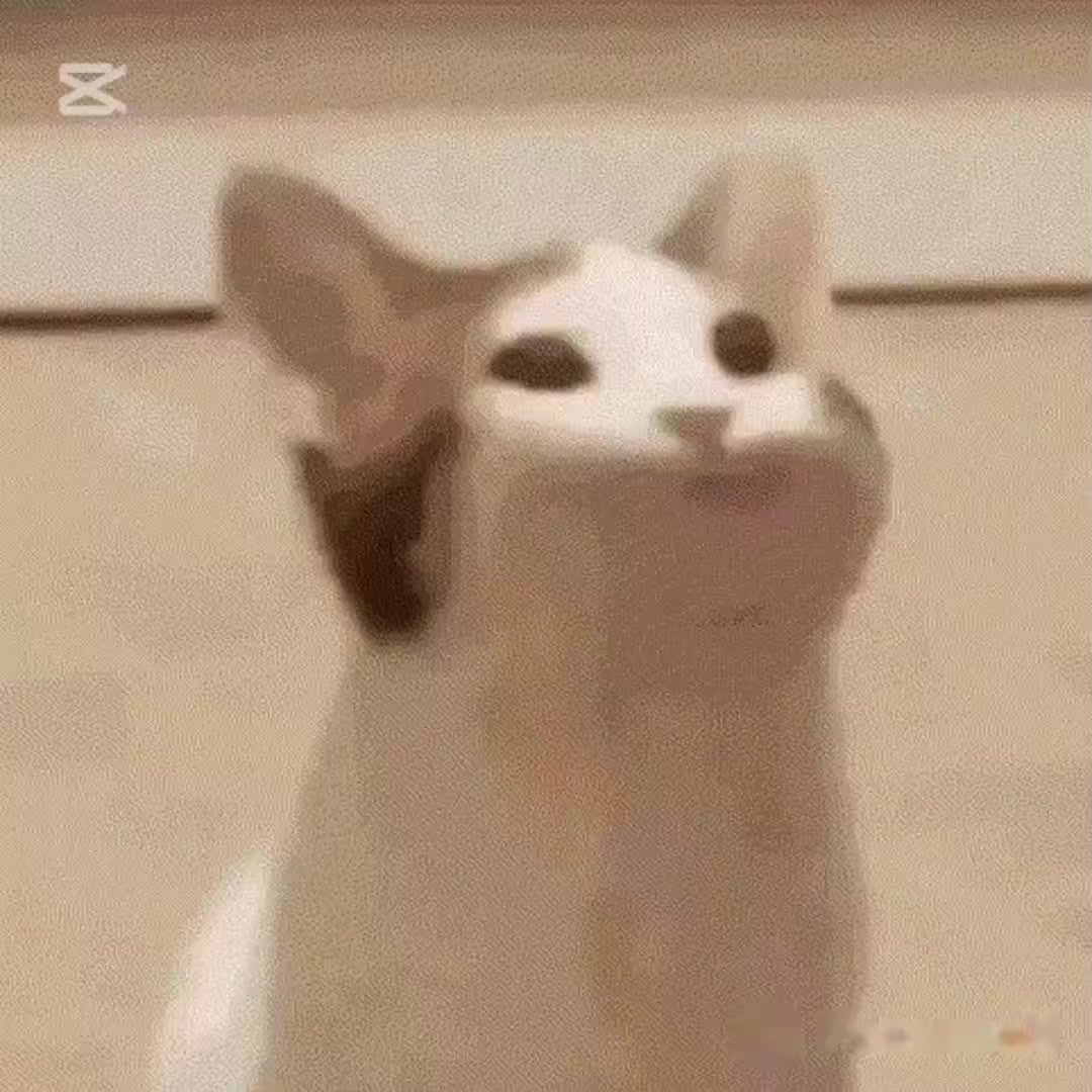 @잭턴