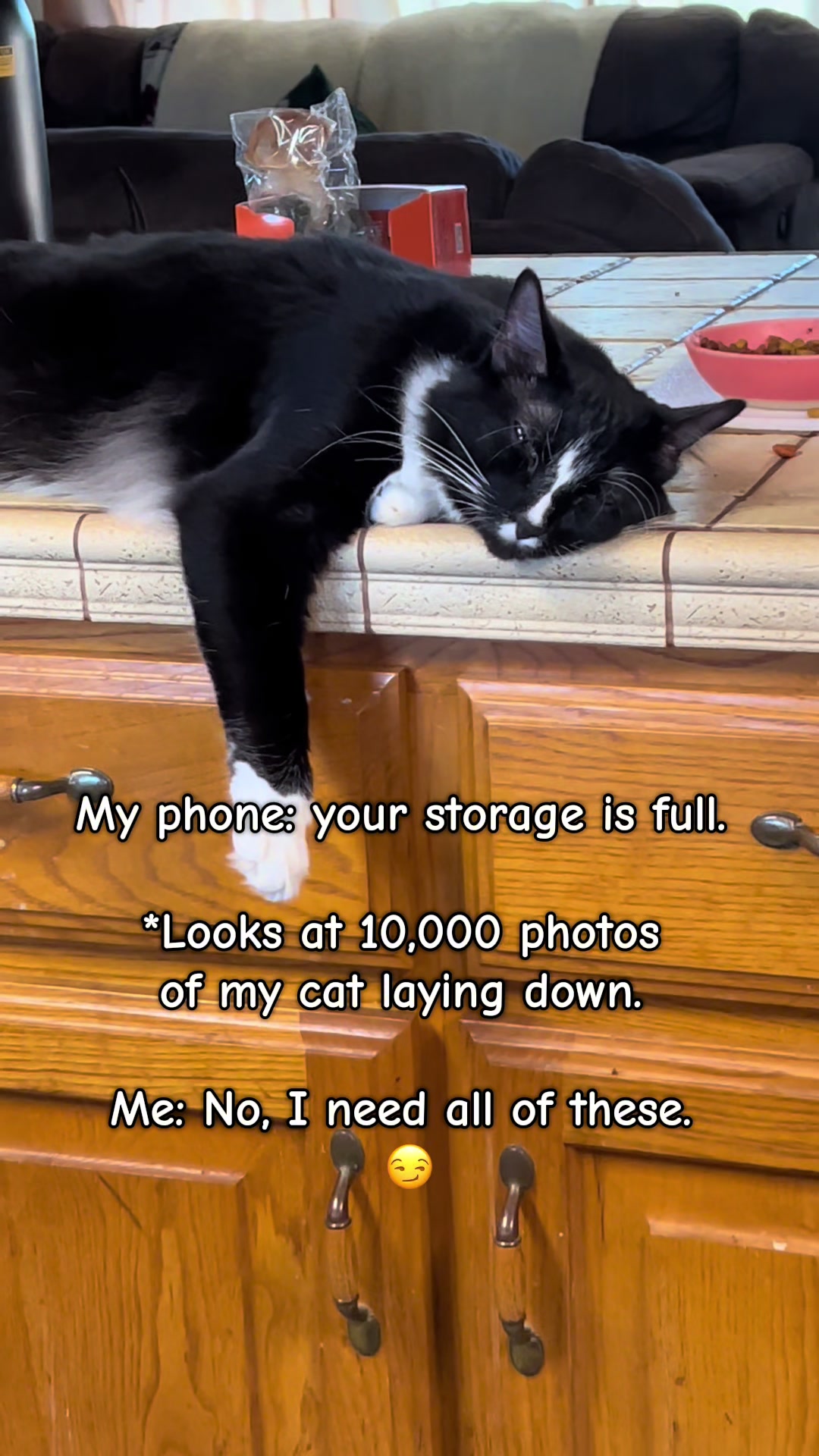 @presleythetuxie