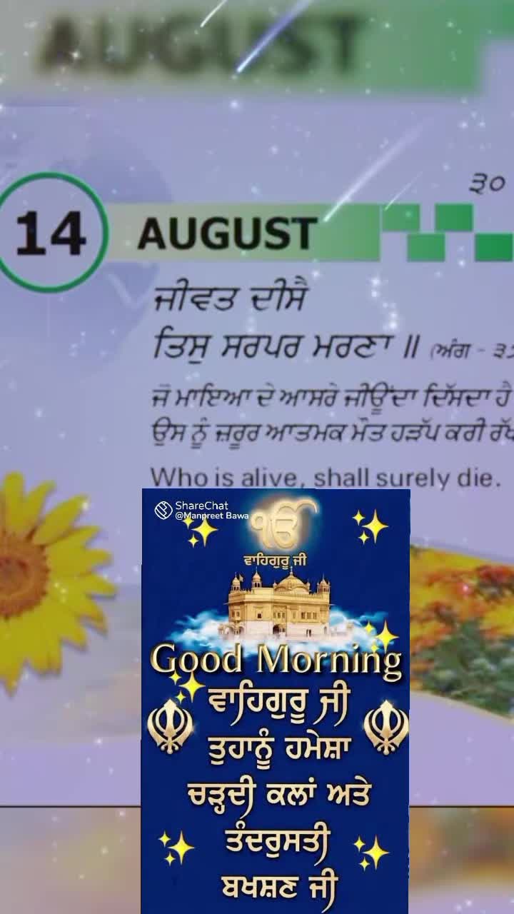 @Nagra PB 06