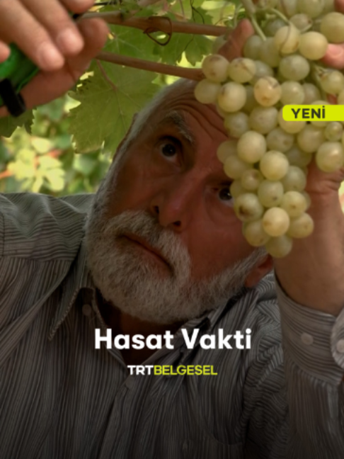 @TRT Belgesel