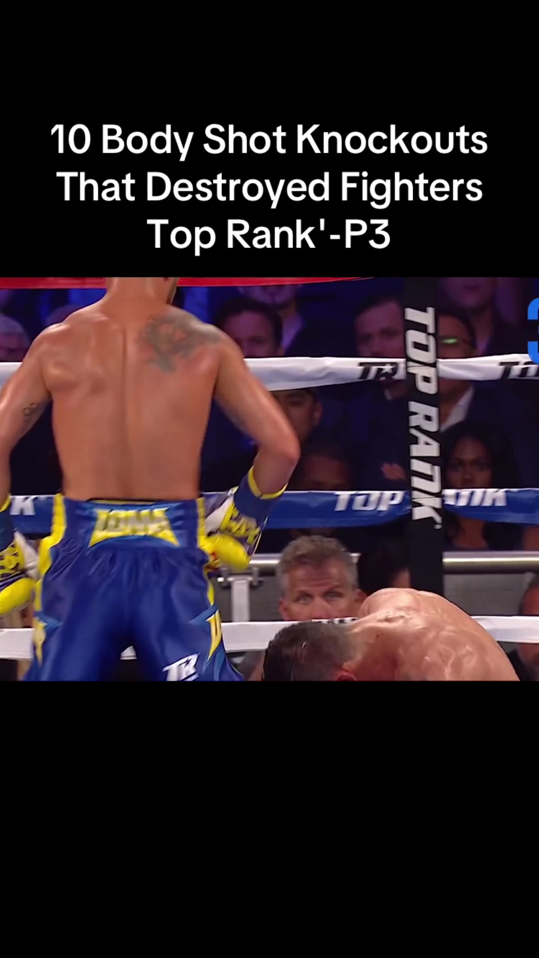 @gaubsksnj UFC