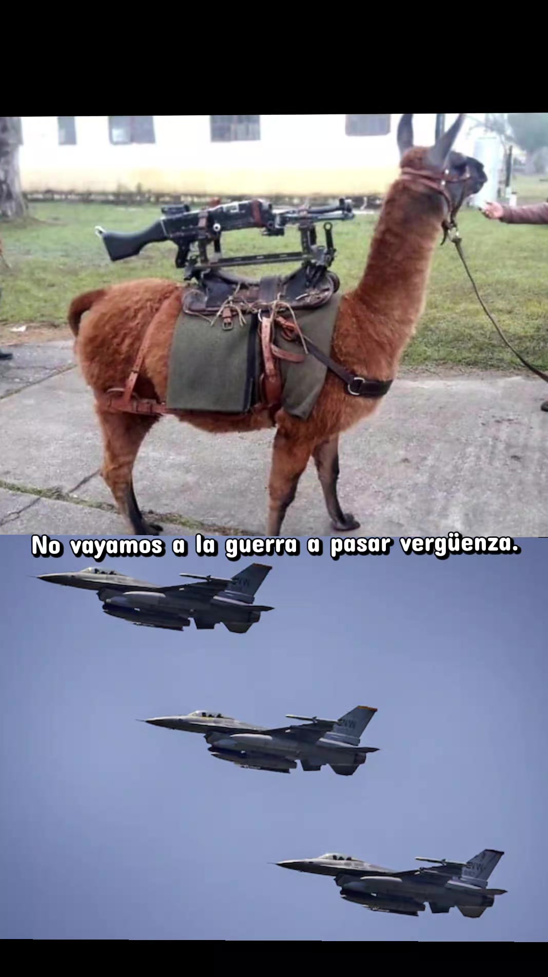@Virrey Mágico