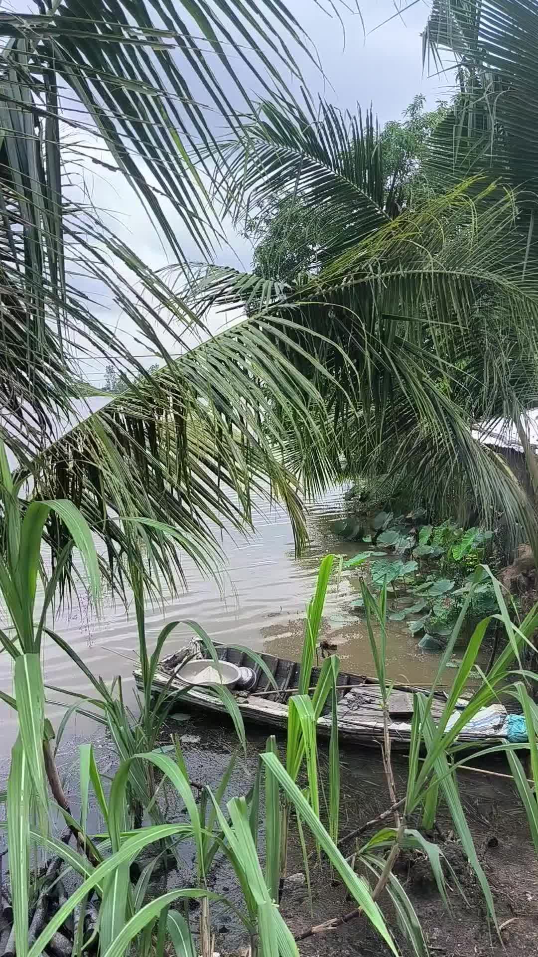 @Thợ Săn HuGo 🐟