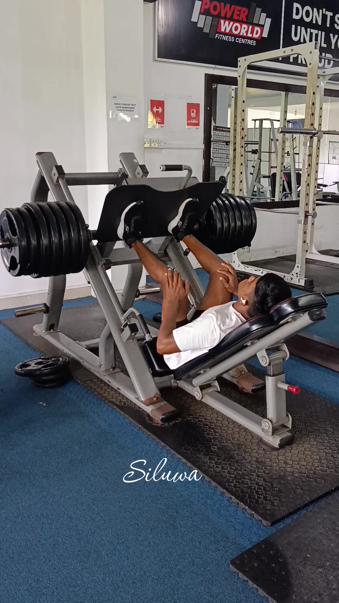 @Siluwa🦍