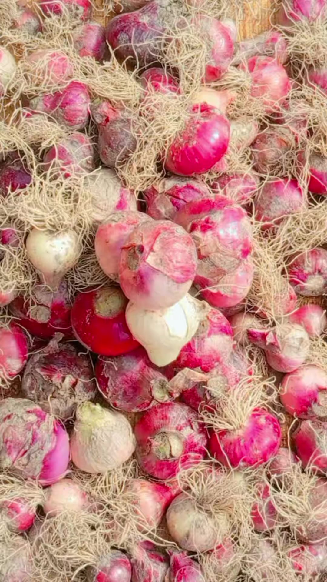 @शहरमा केही नभाकाे मान्छे