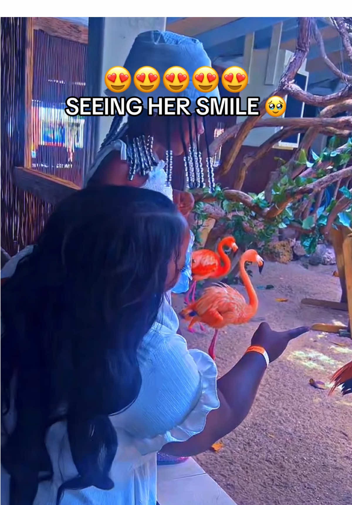 @Mommy_dream