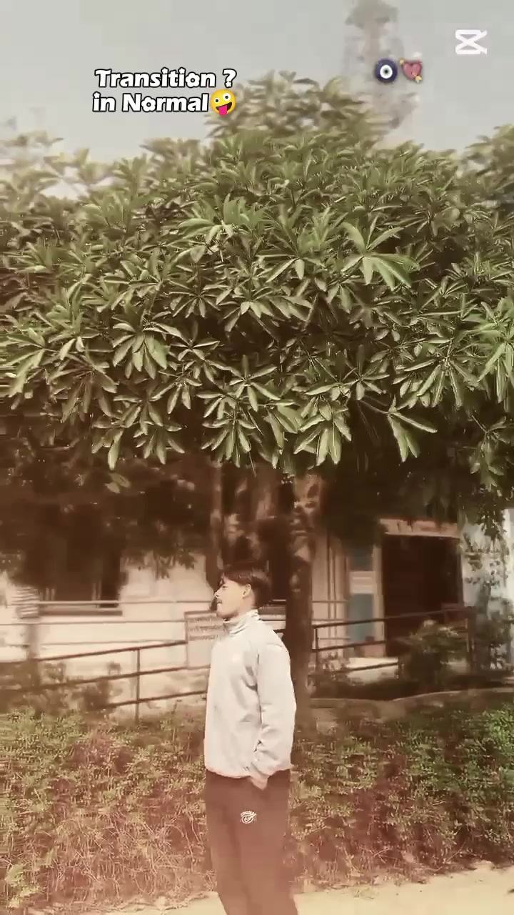 @🇵🇹🕷️🕸️