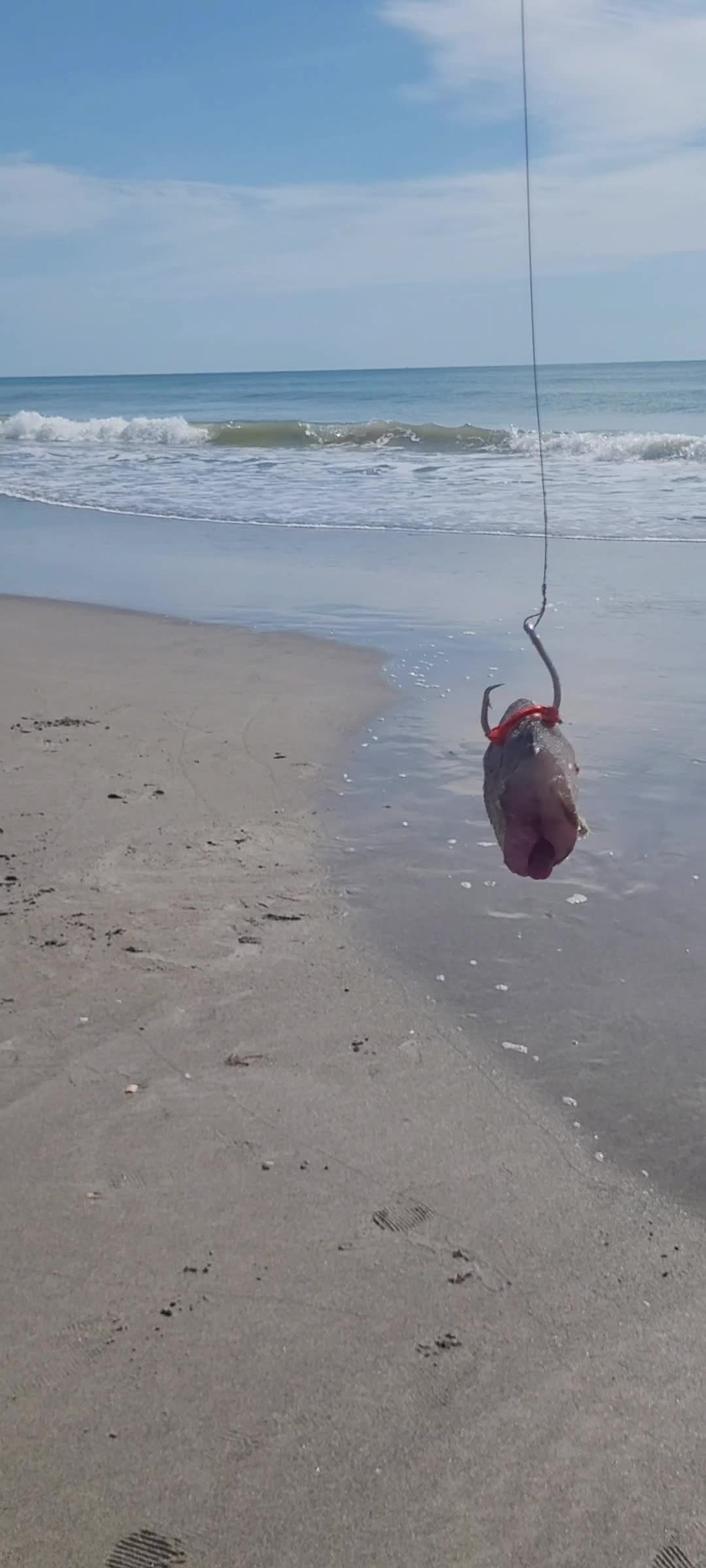 @Ghost of Space Coast Fishing