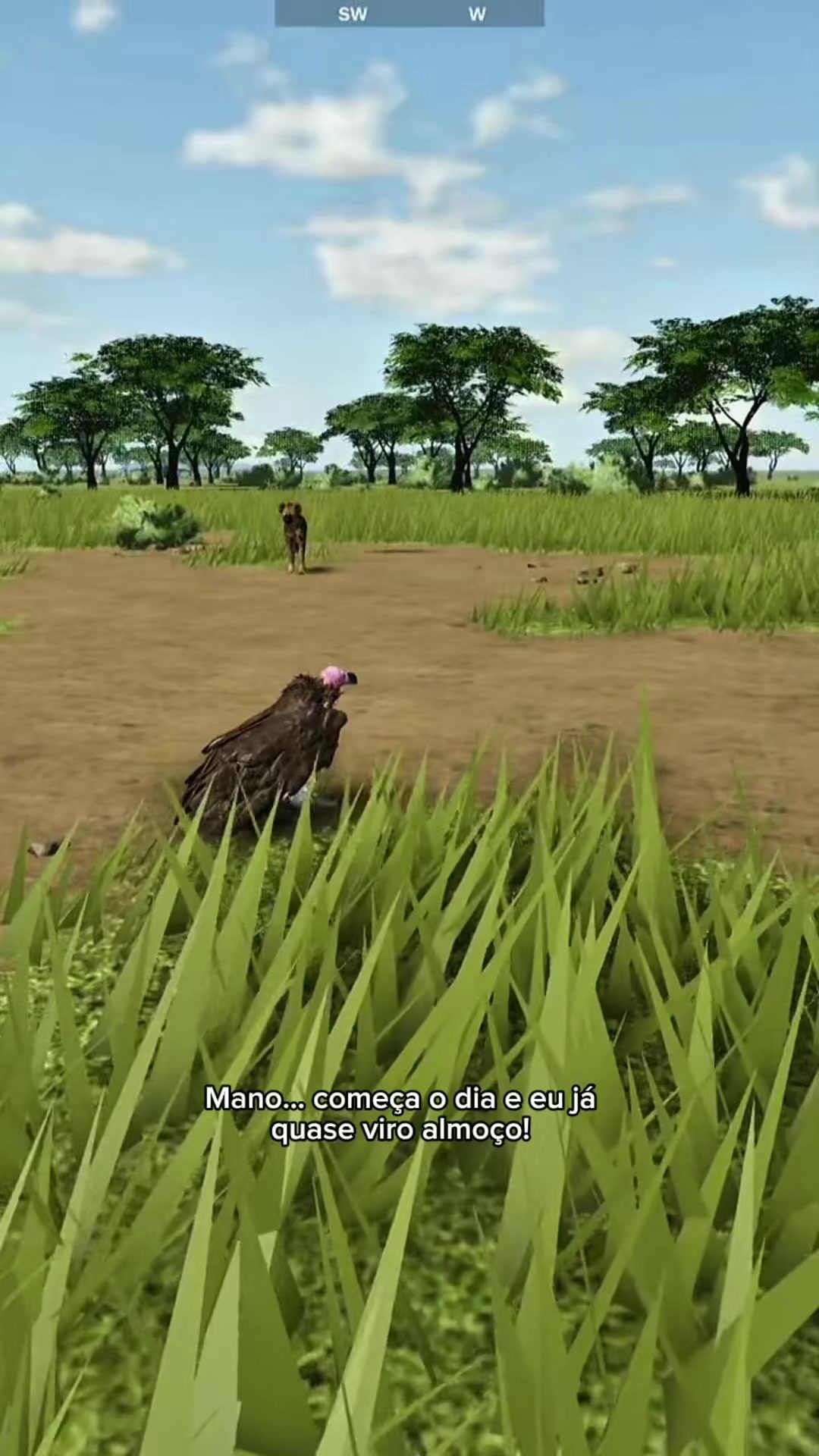 @streamgameX
