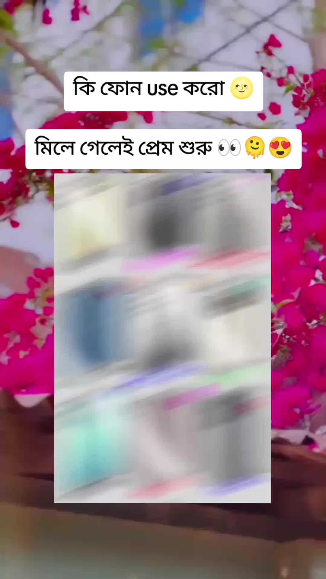 @🦋 ✿ SHAMIM XT ✿ 🦋