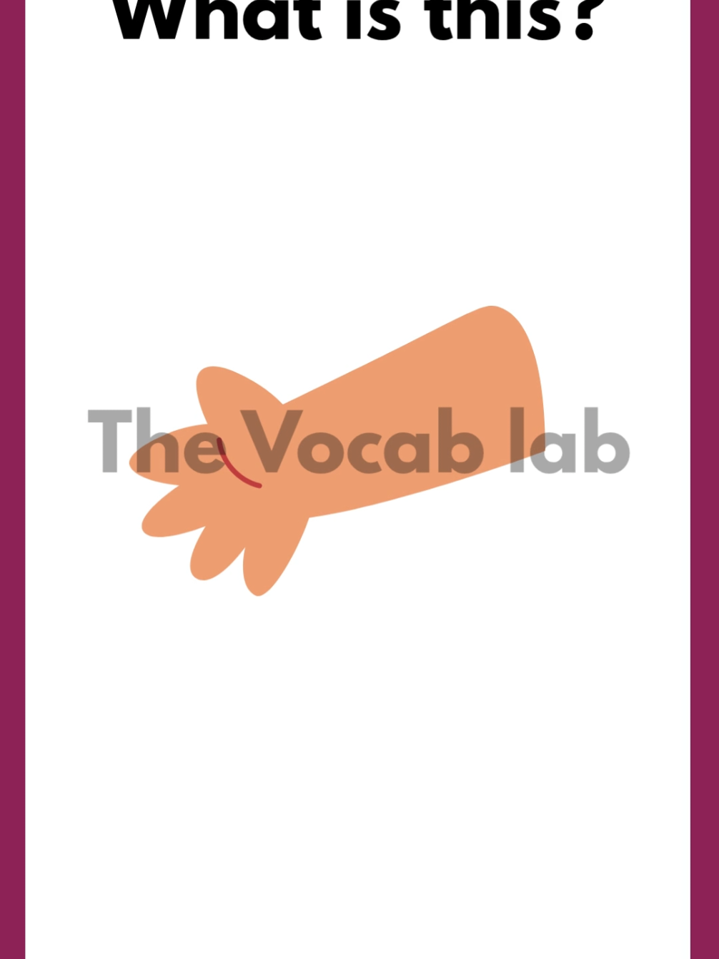 @The Vocab Lab