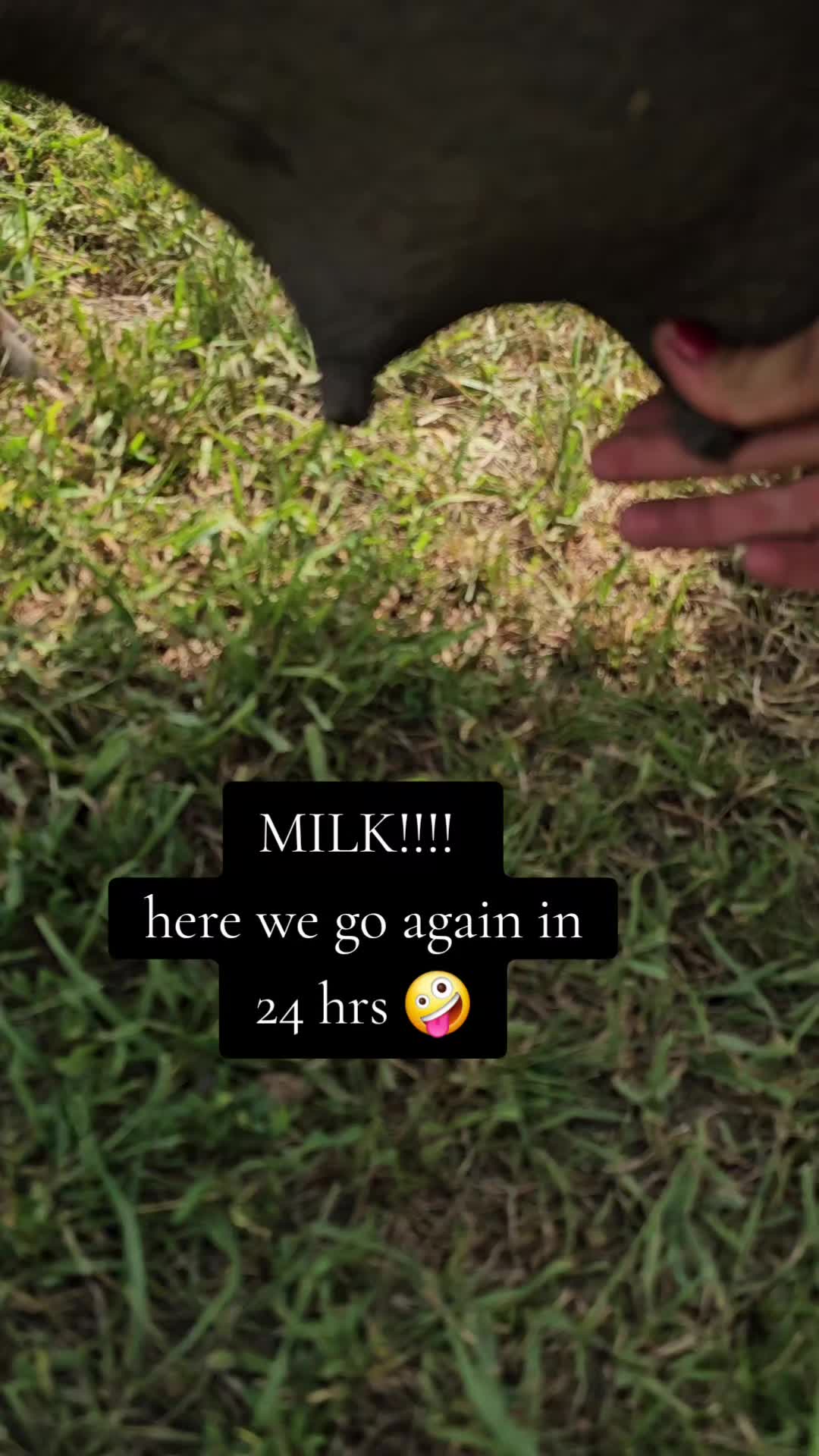 @Dakotafunnyfarm