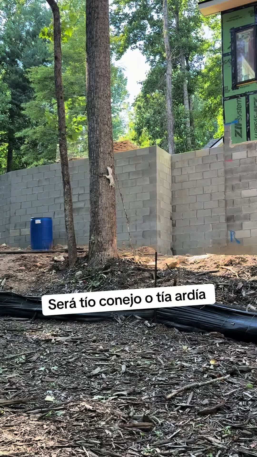 @el pay