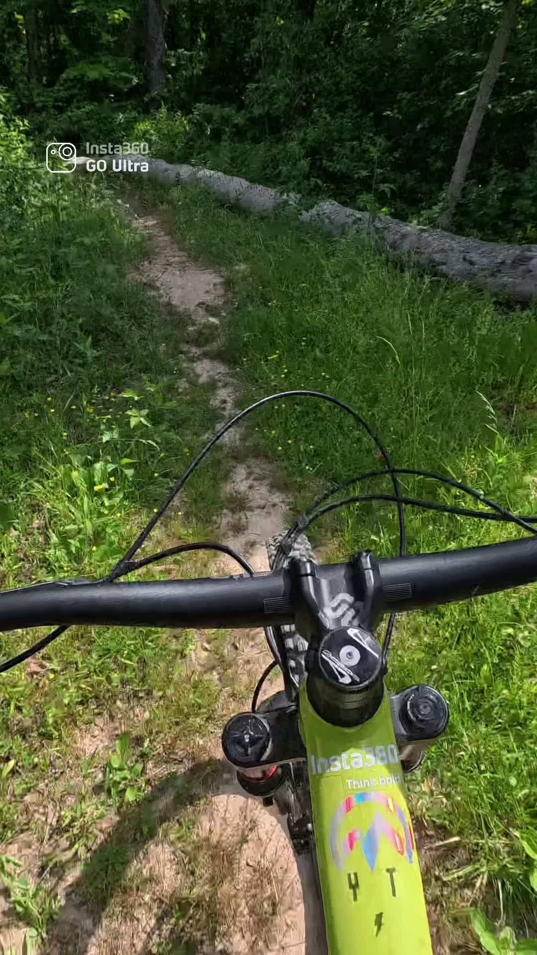 @Boards Bikes and Hikes
