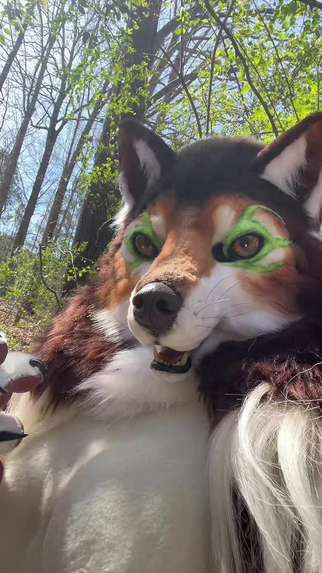 @Hazel Wolf