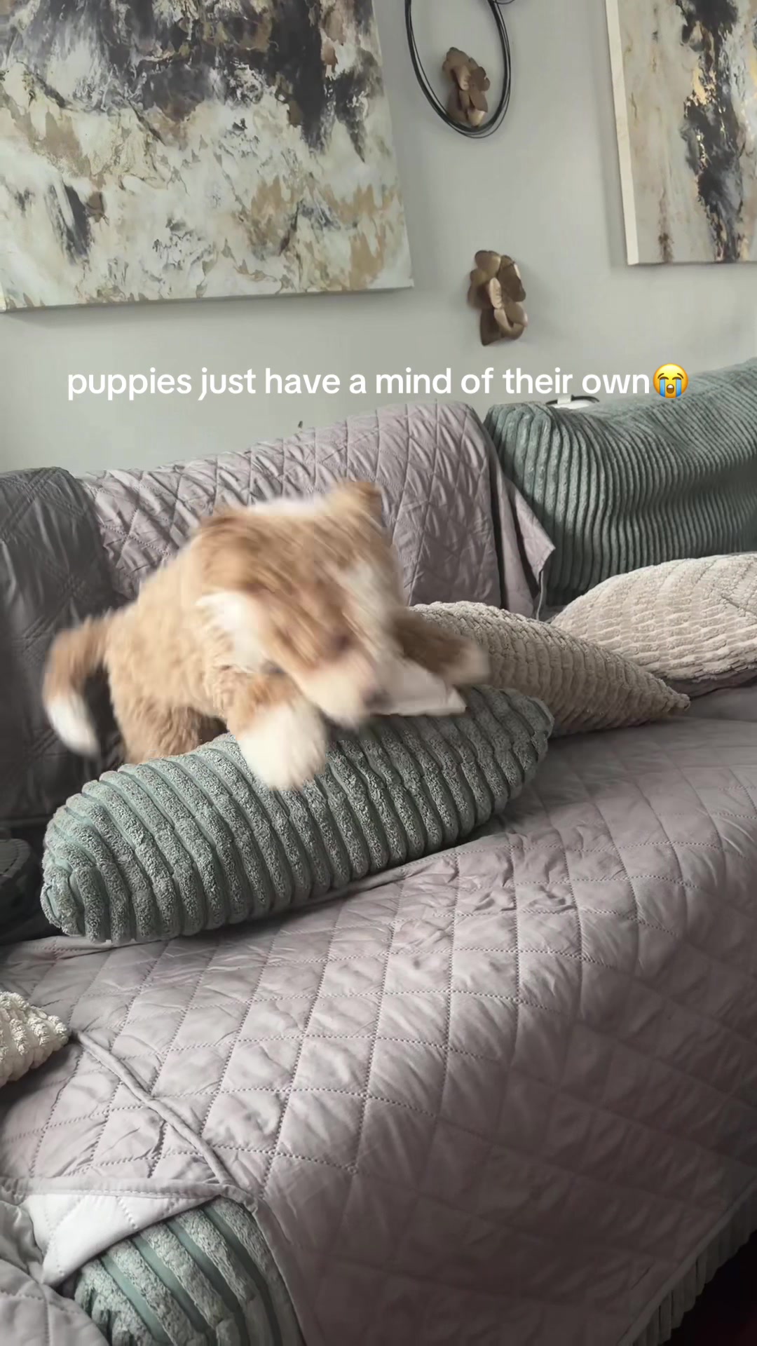 @Brooklynn❤️ | NJ
