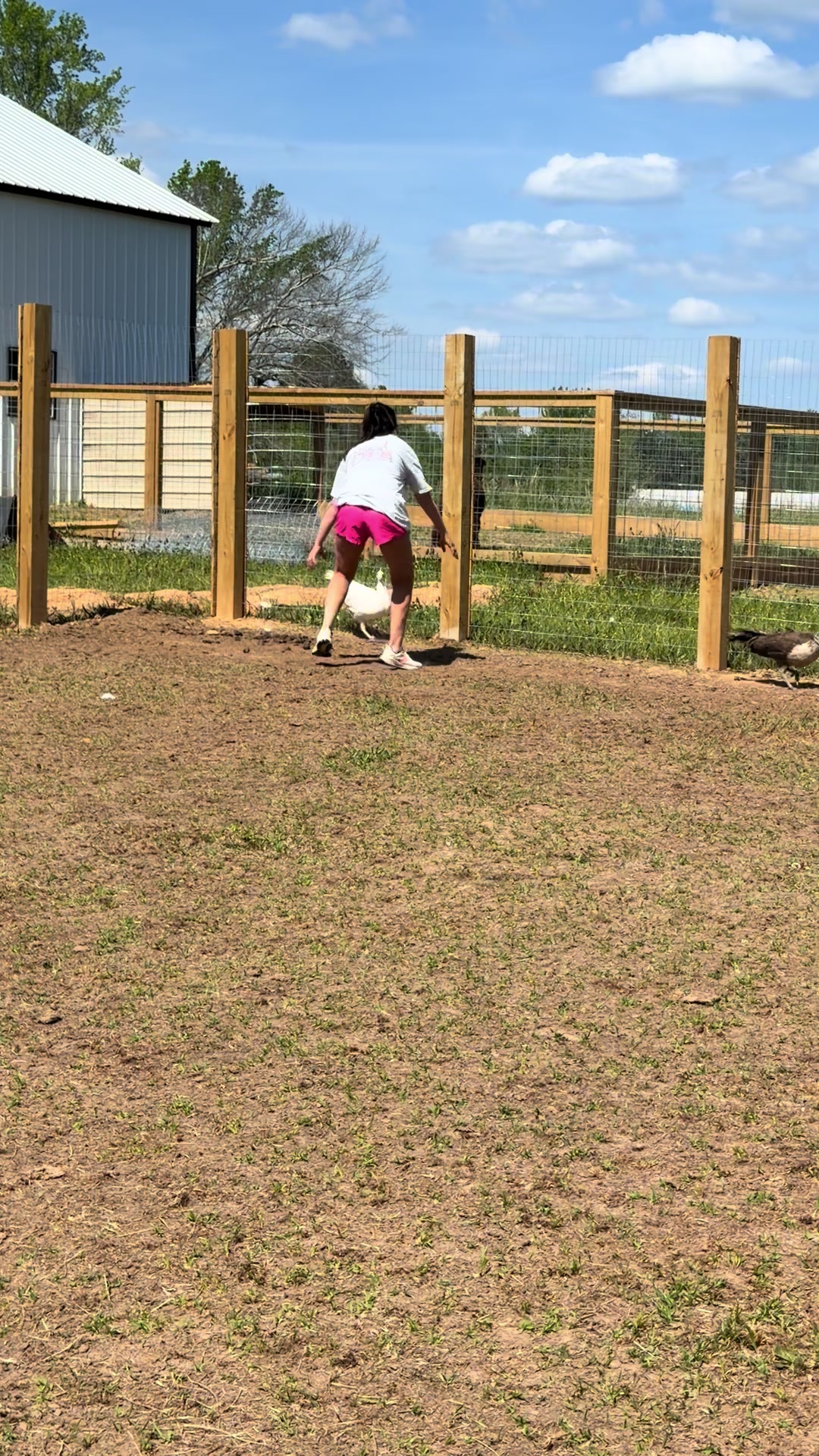 @Wild South Exotics