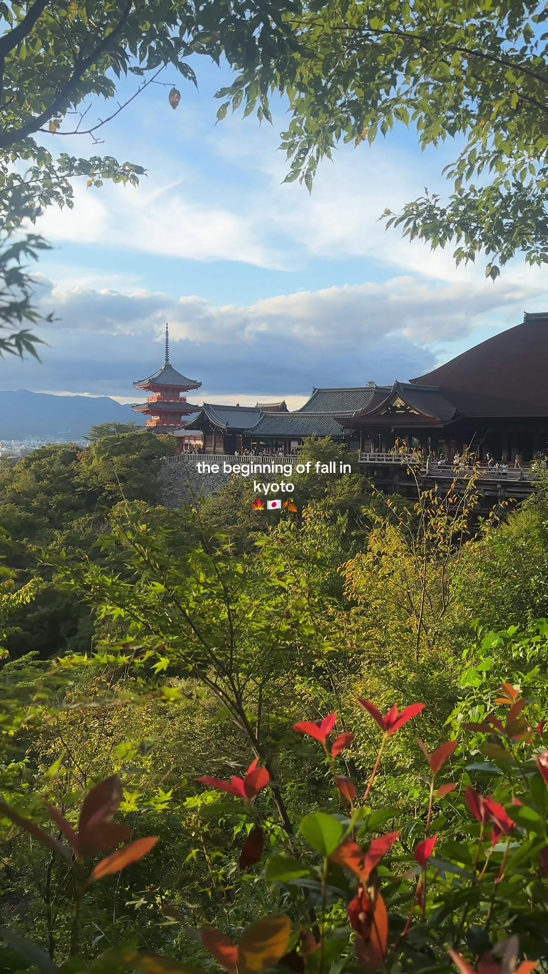 @Matt & Shannon | Travel ๐๐๐