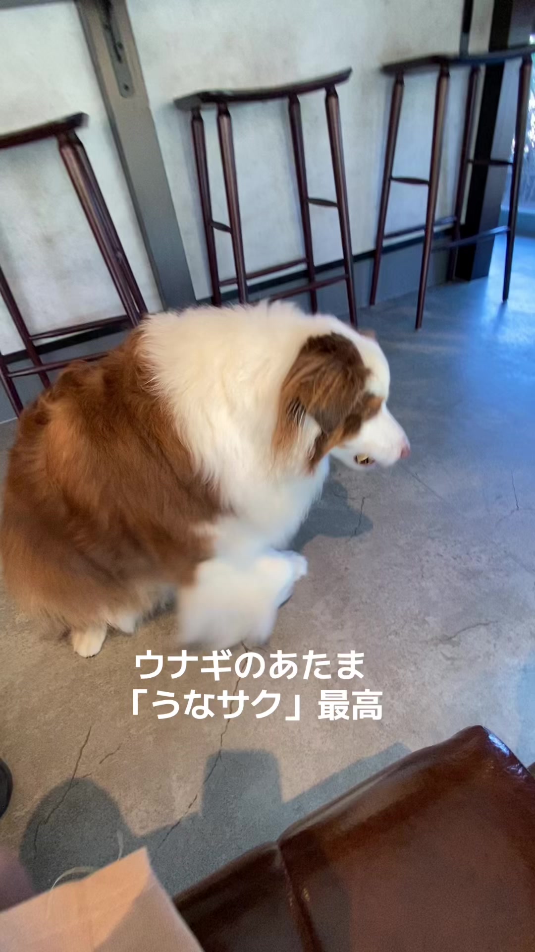 @サン&タマ