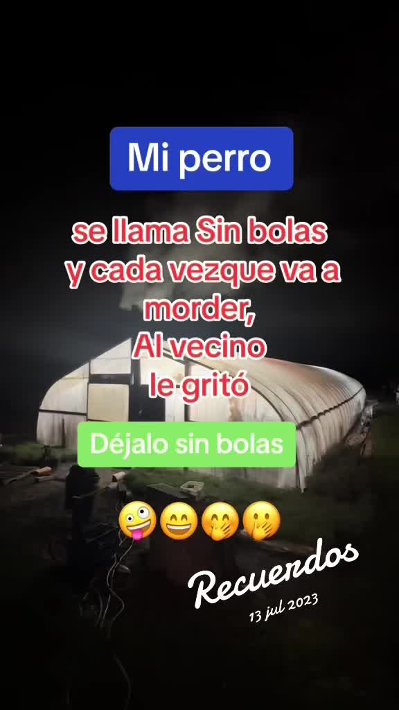 @⚜️✨🪗pablocarbajal63🪗🔱👑🦾🦍
