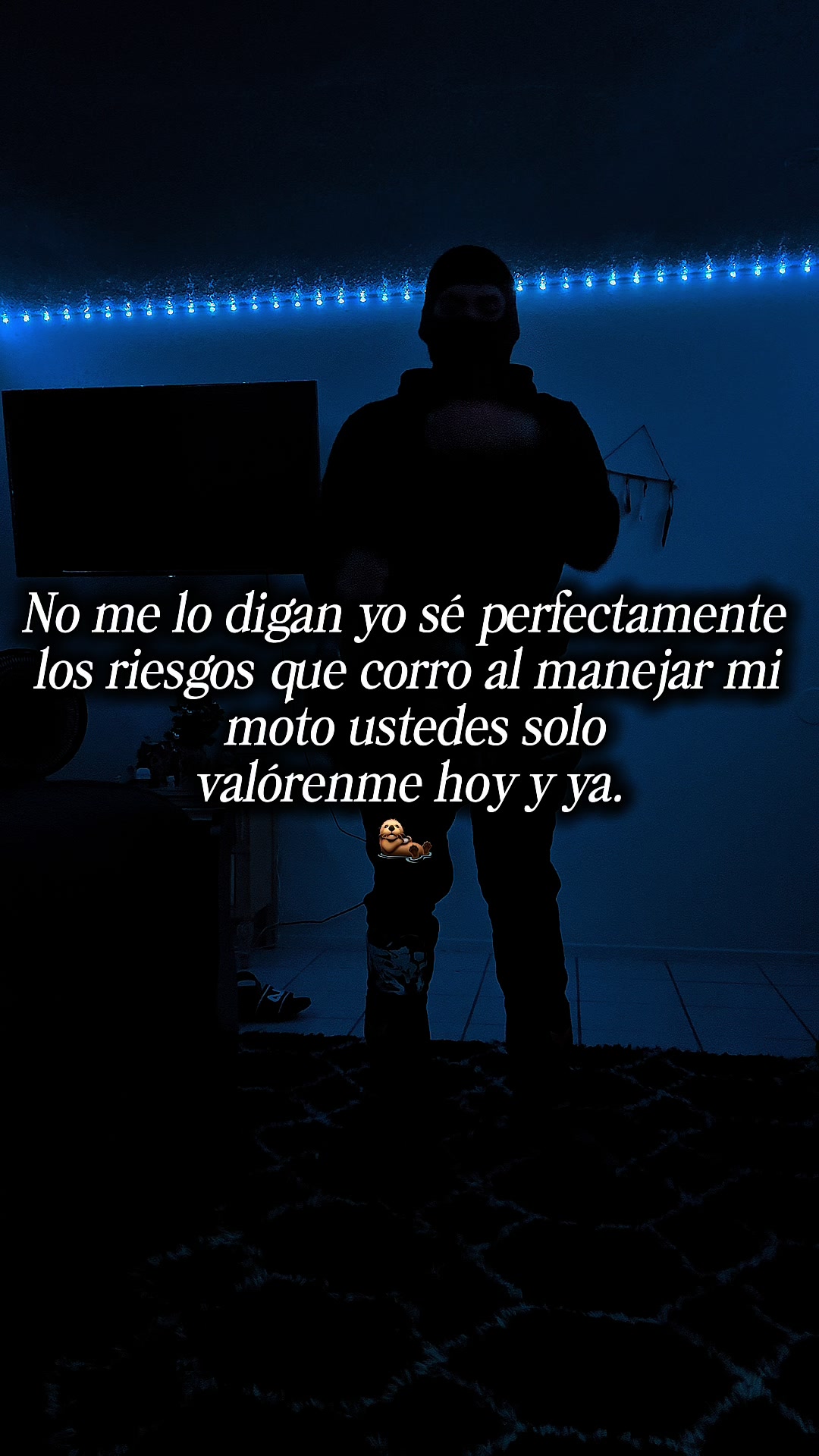 @Modo_montana