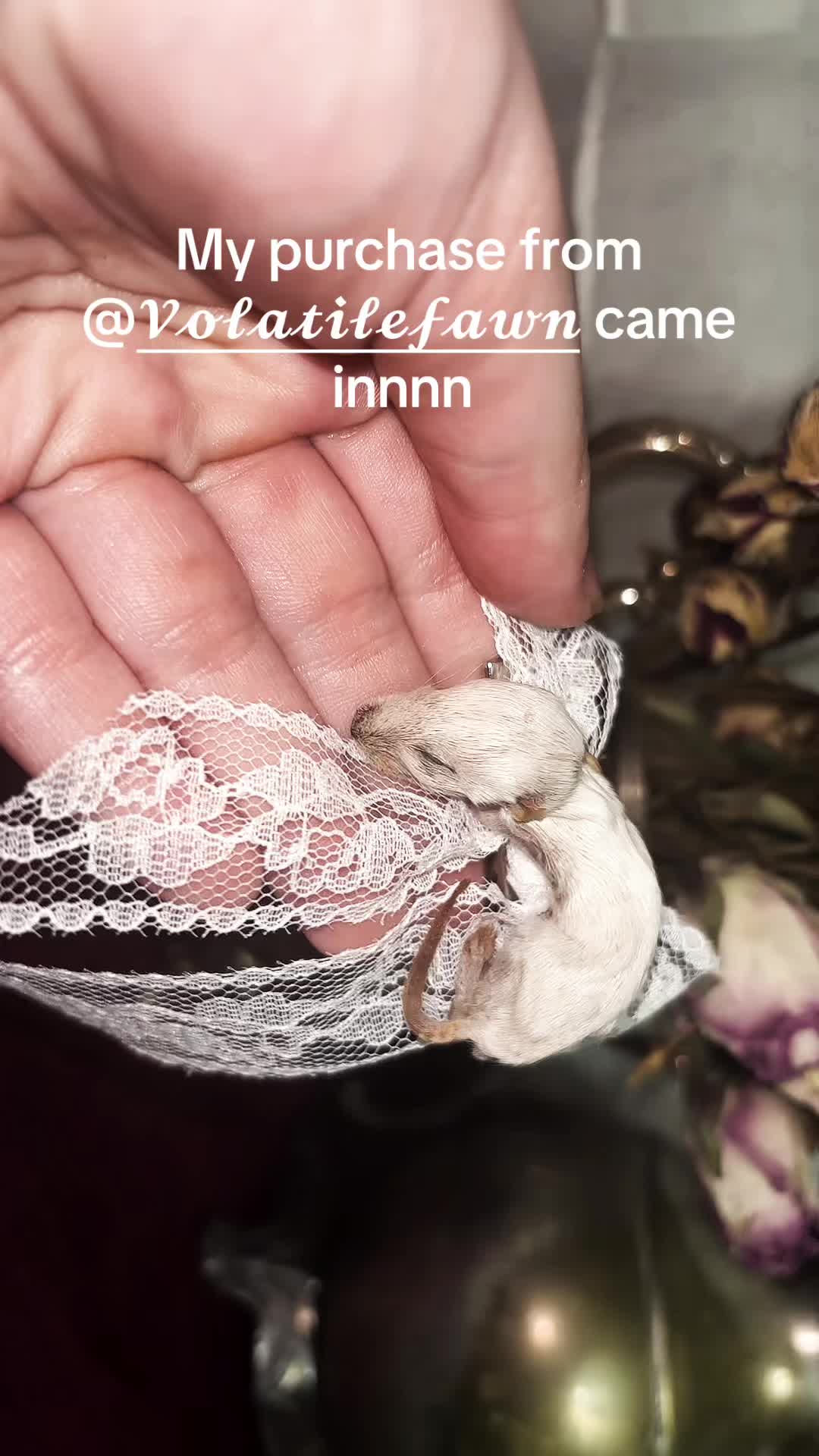 @rylieedenscreations