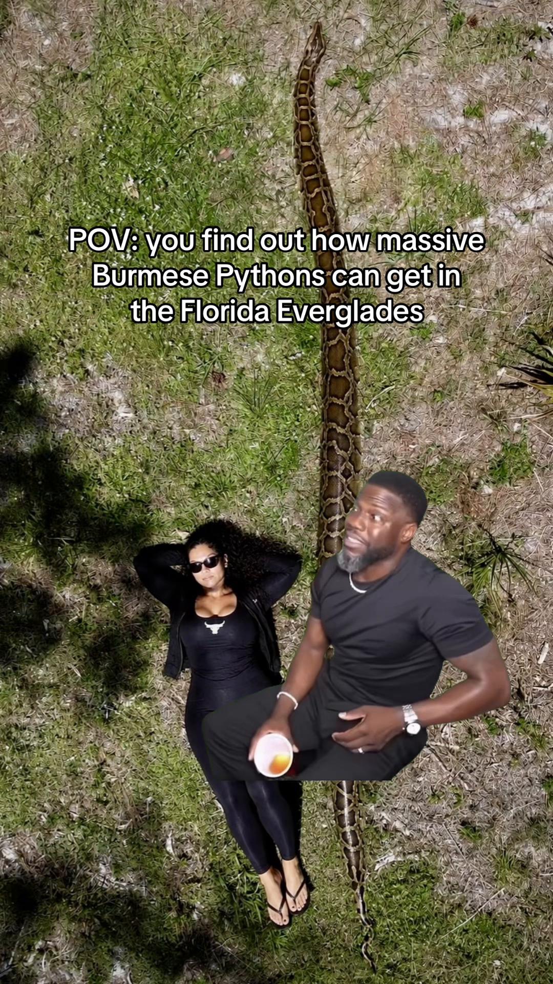 @floridanpc305