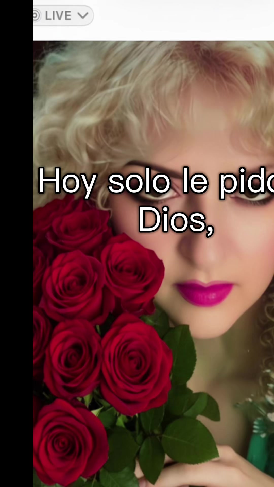 @guadalupearaiza335