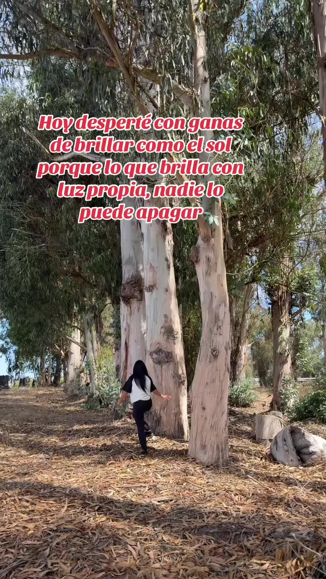@damenero