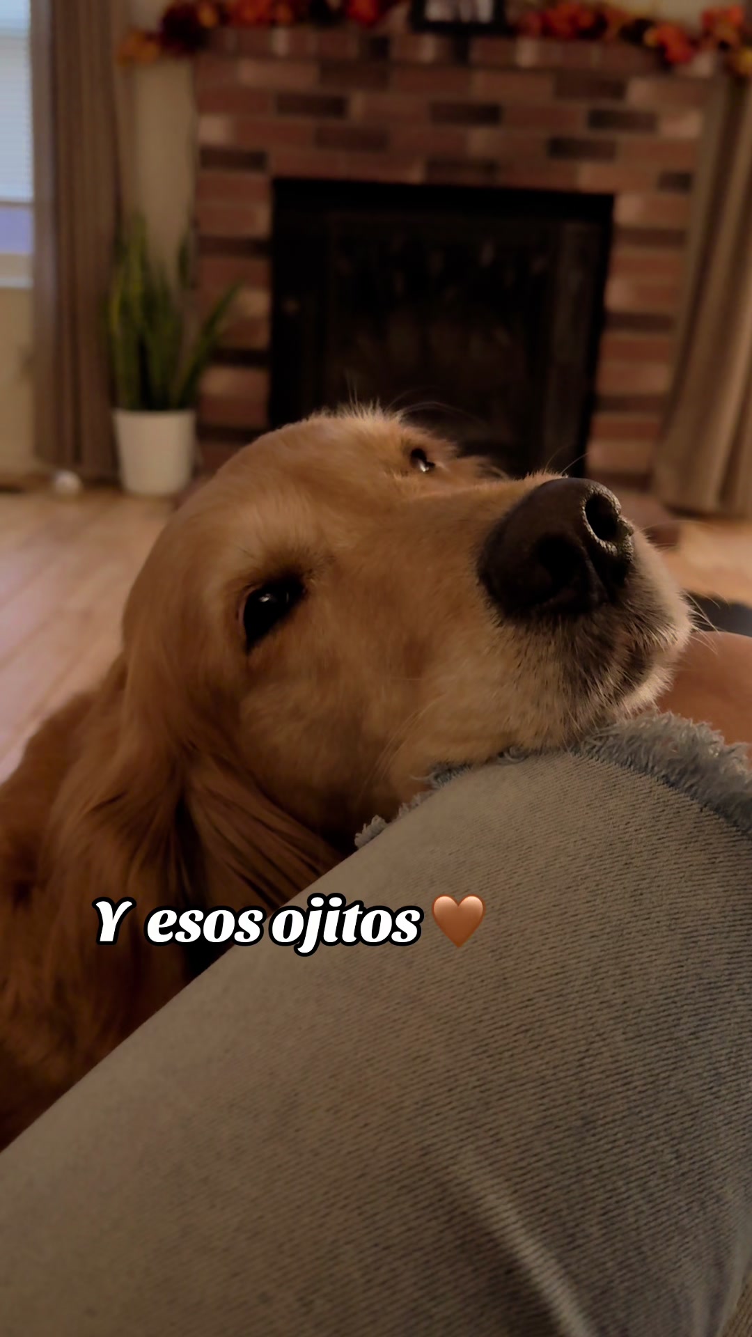 @Odalis Vera