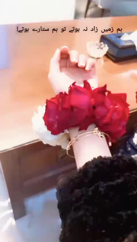 @NAIMA ABBASI♥️