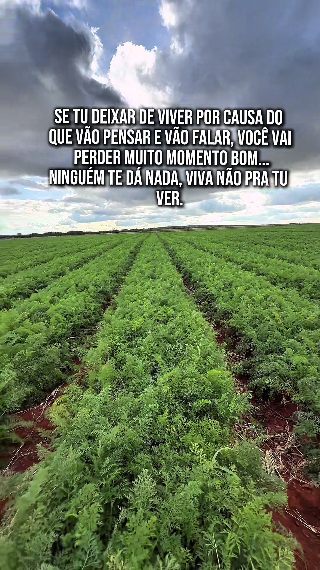 @Jalison Tavares