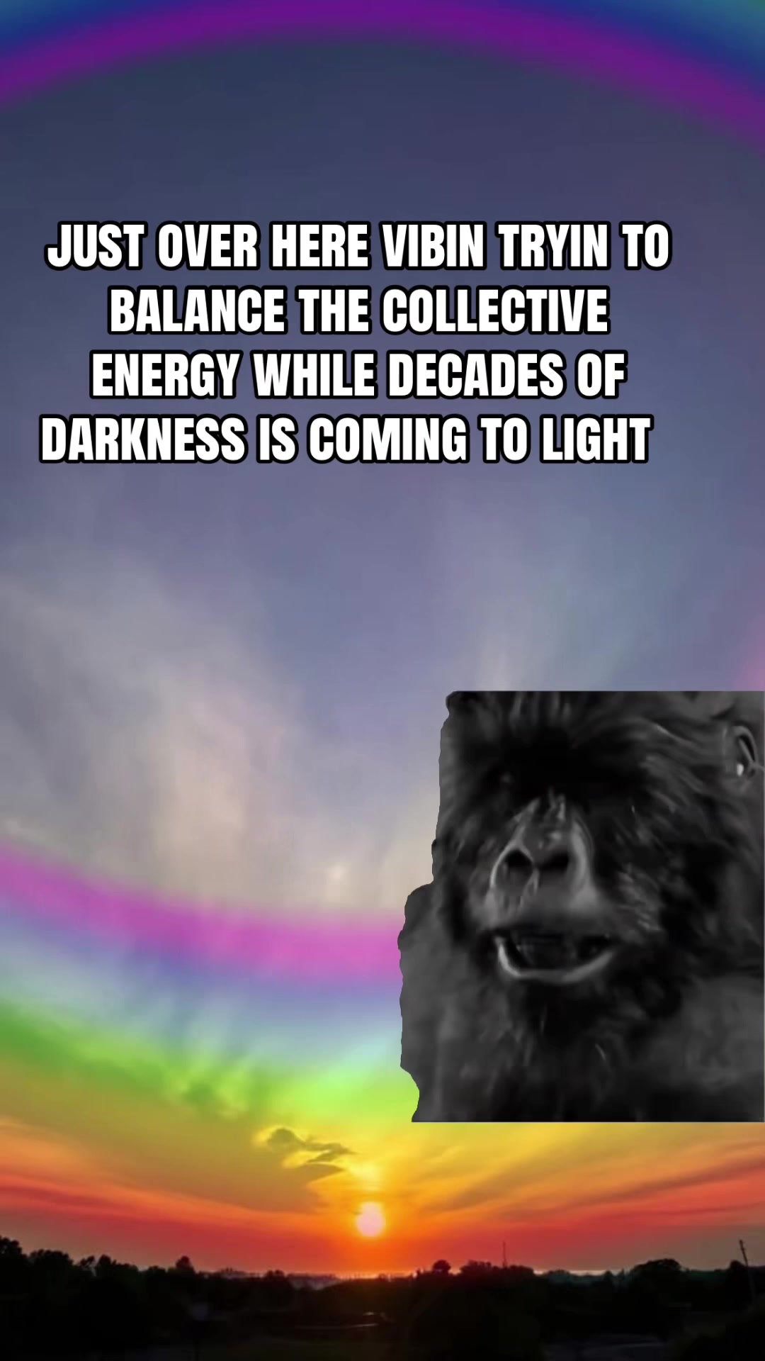 @Reclaim Your Light