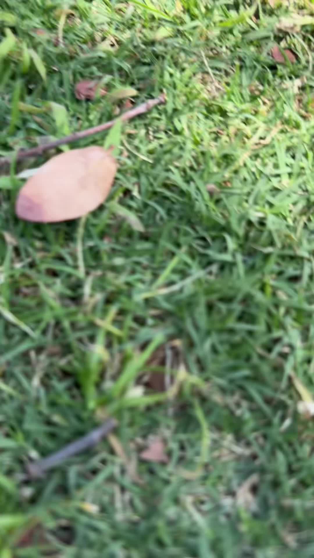 @EARTHCHYLD