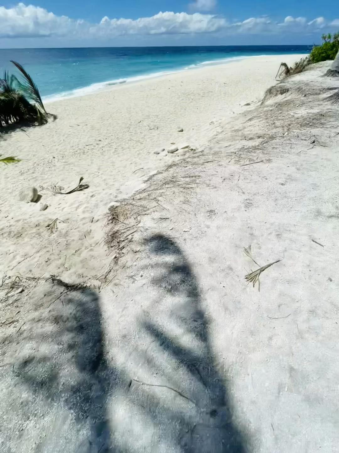 @đŧ...?