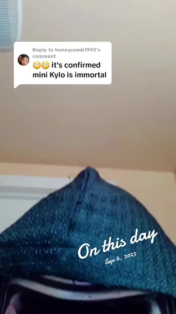 @IttyBittyKylo
