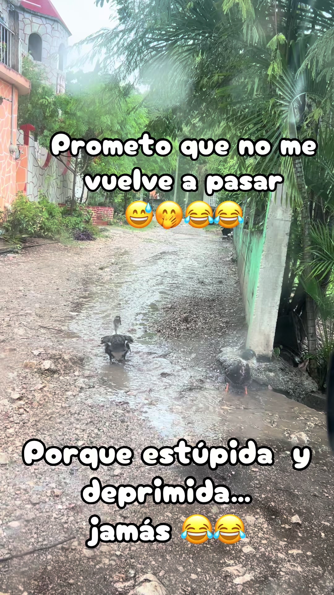 @Lorenza Castillo