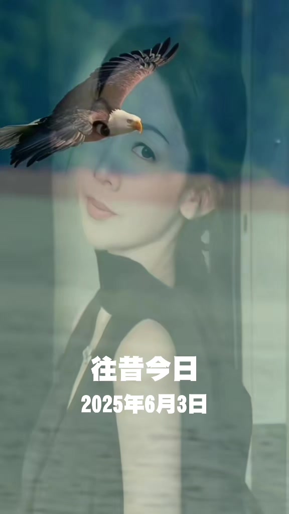 @⚖️🕊子z🛡＆🍚🥢