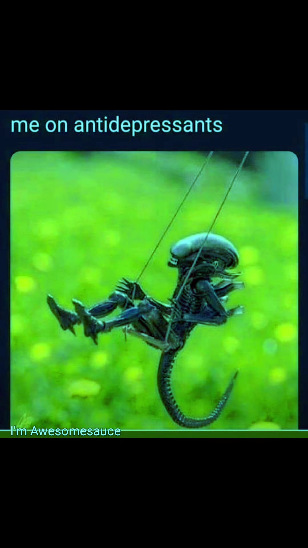@hezbot❌