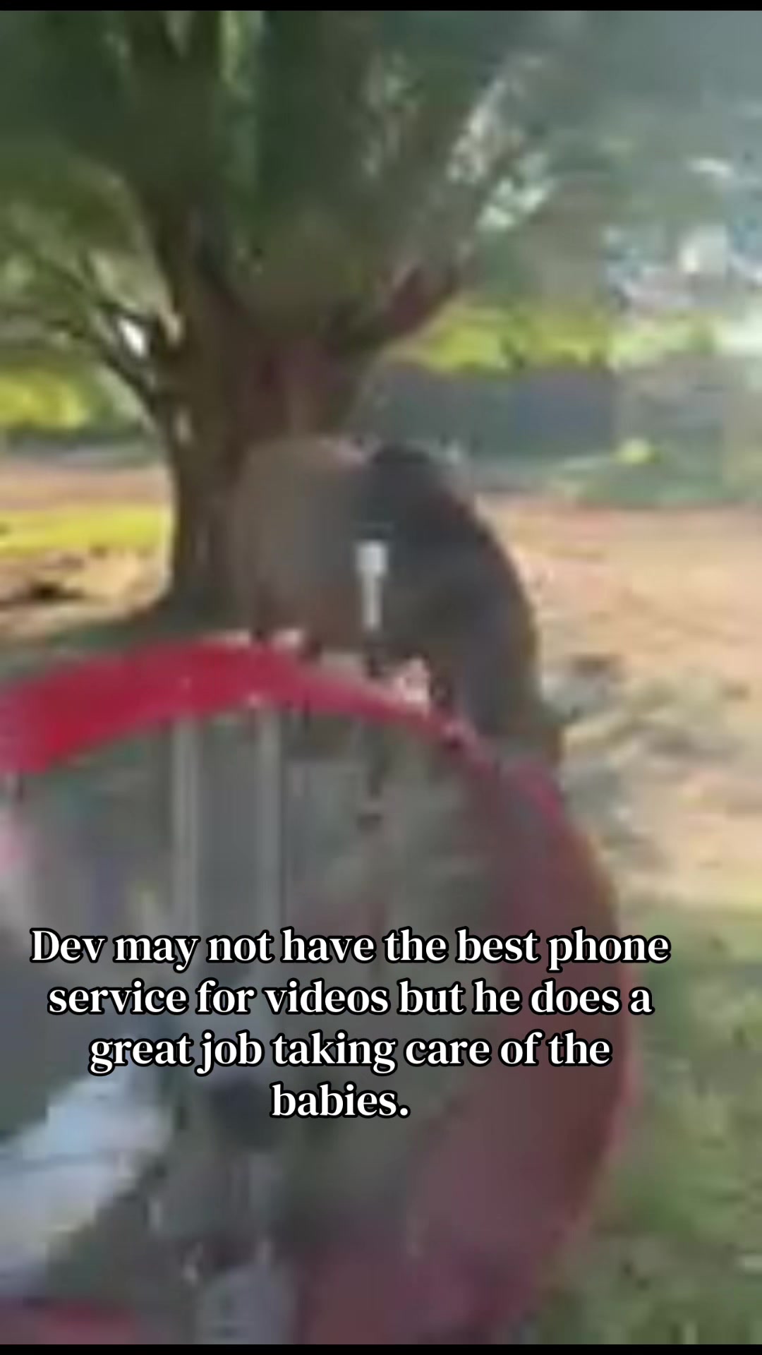 @Safe Place Pastures, Inc.