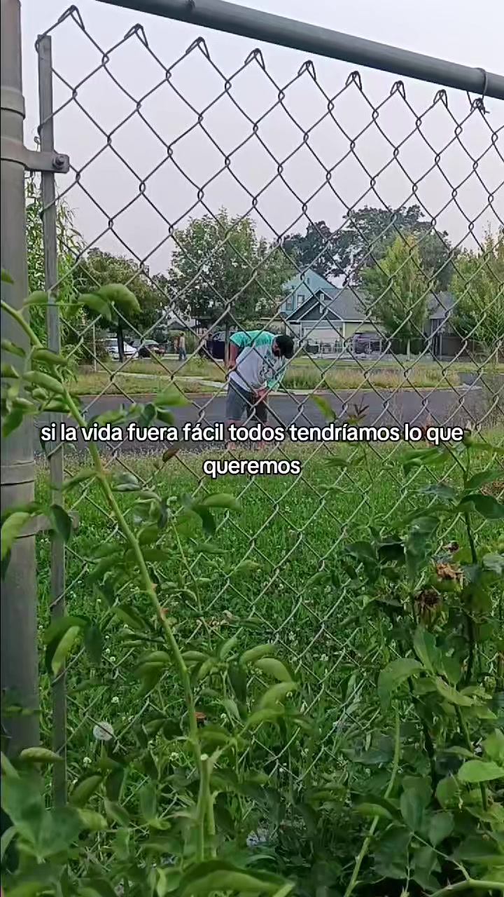 @toxicmichoacana🐷