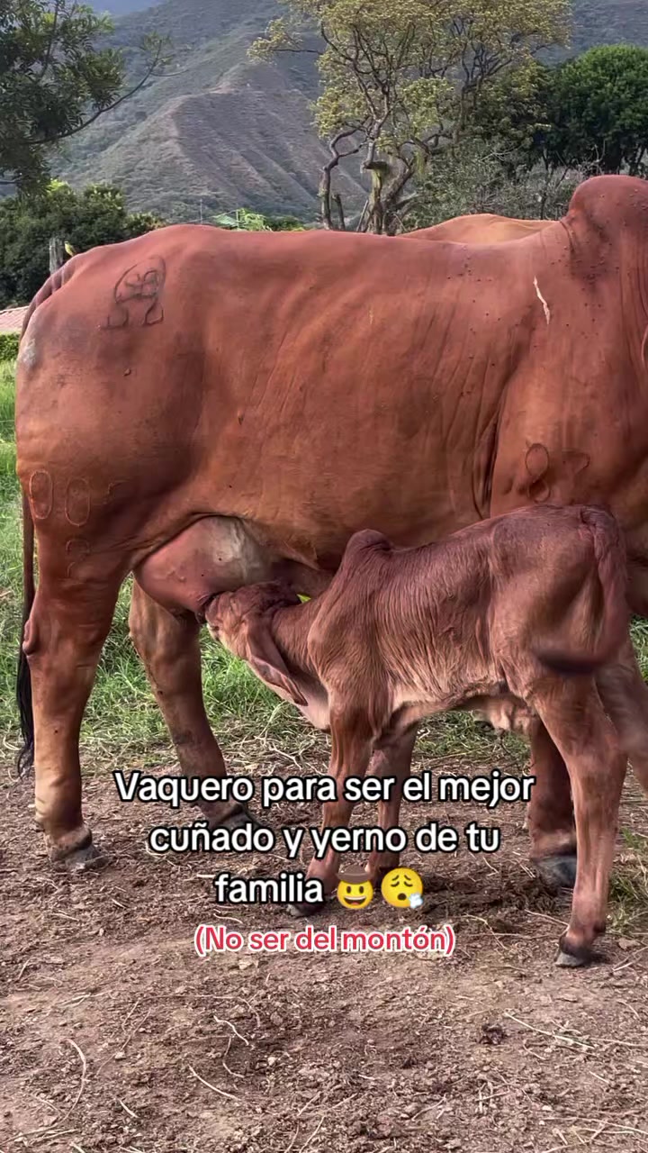 @Robin🐄🐄🤠🤠🐎🐎🇬🇹🇬🇹