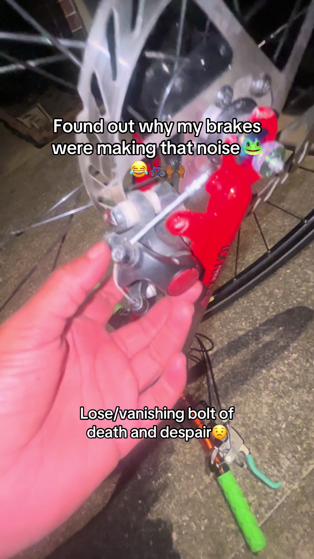 @scenebikelife_