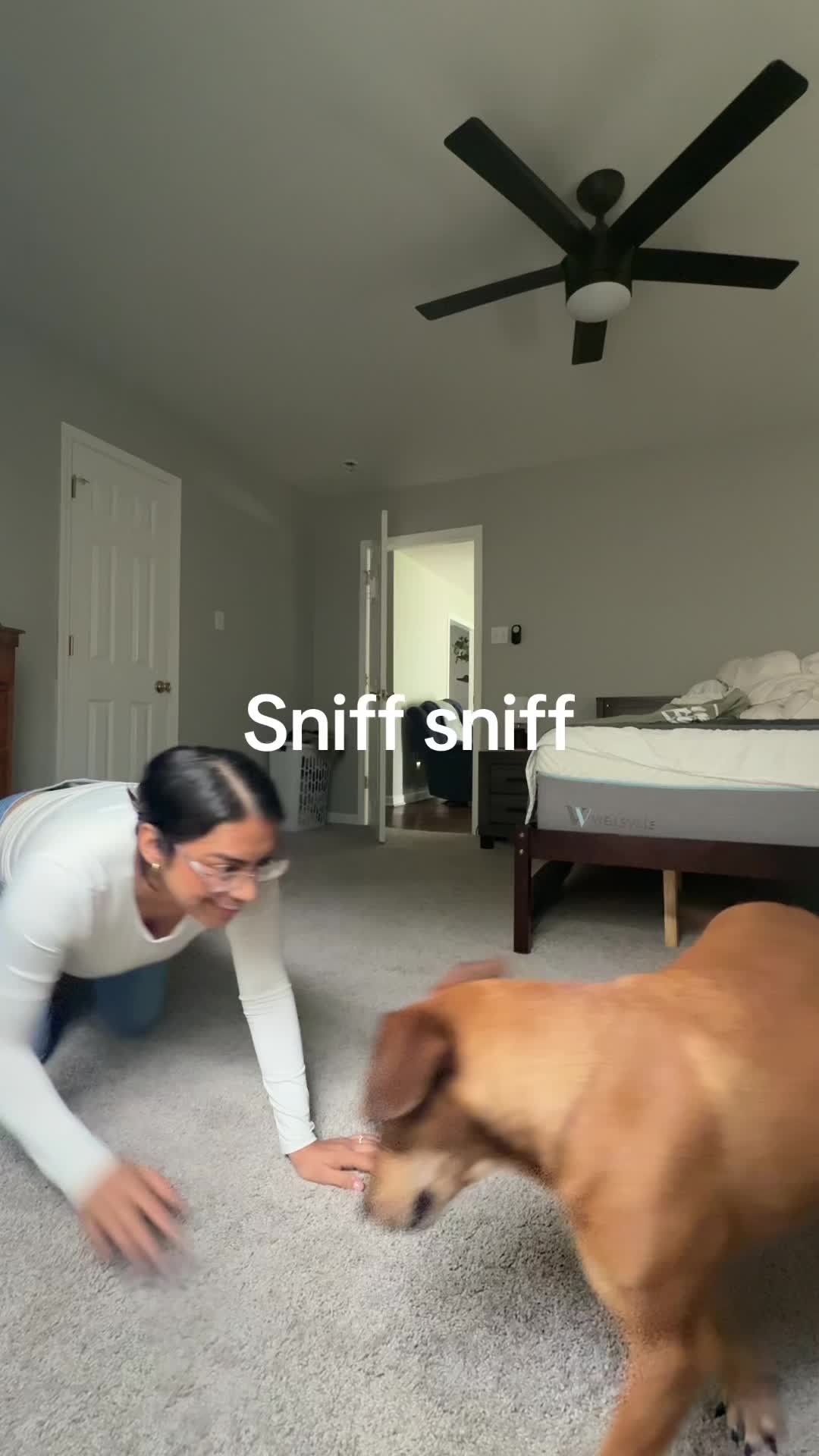 @Sici