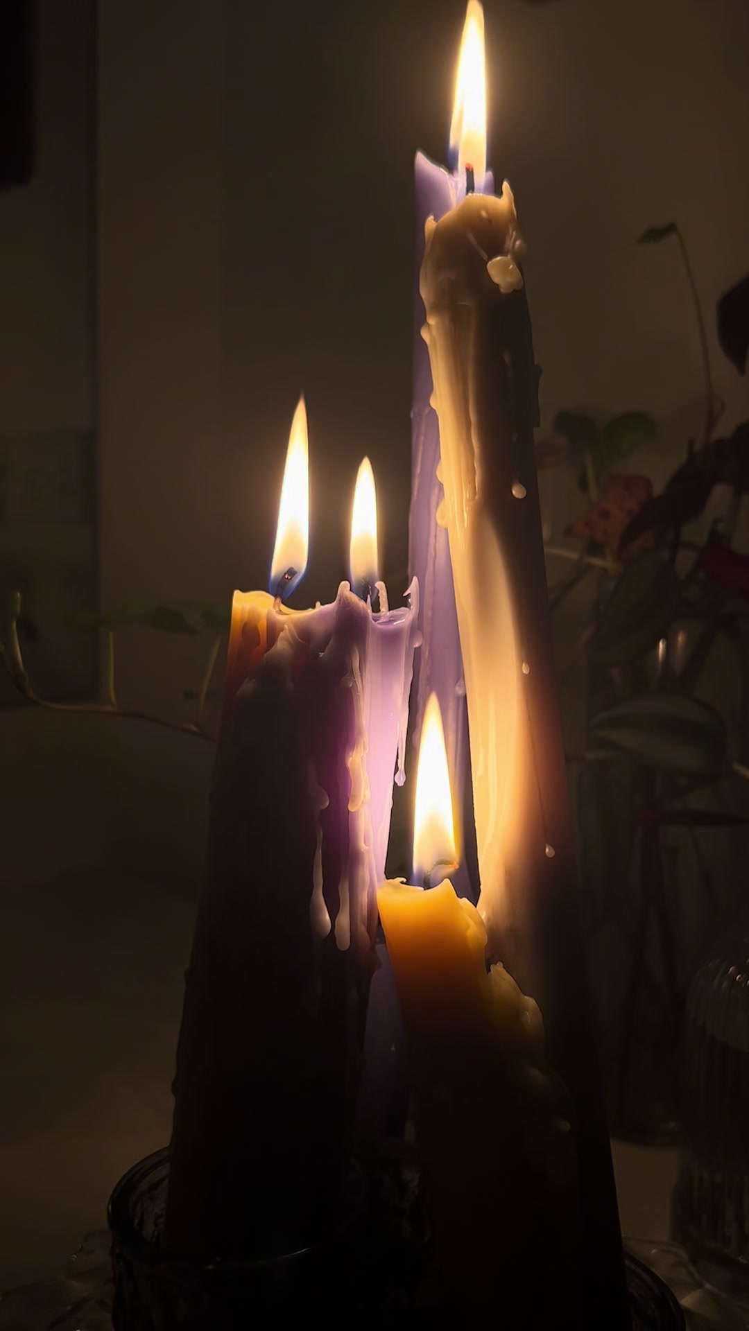 @candlecountess