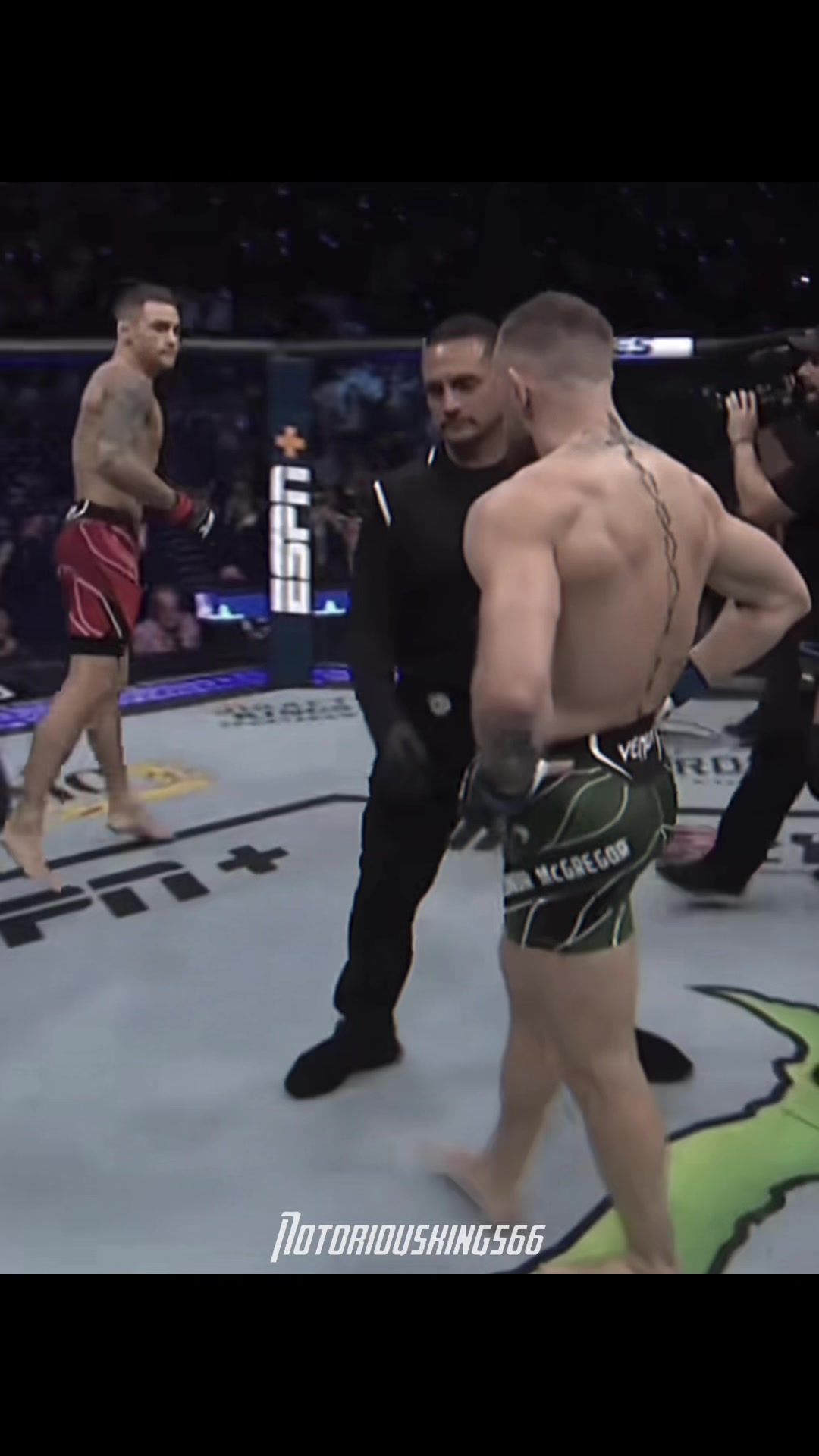 @Conor Mcgregor