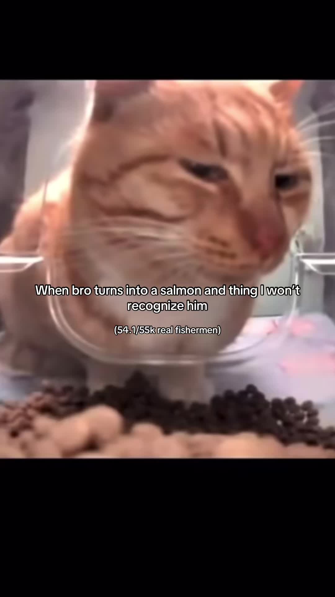 @fishingwithblake_