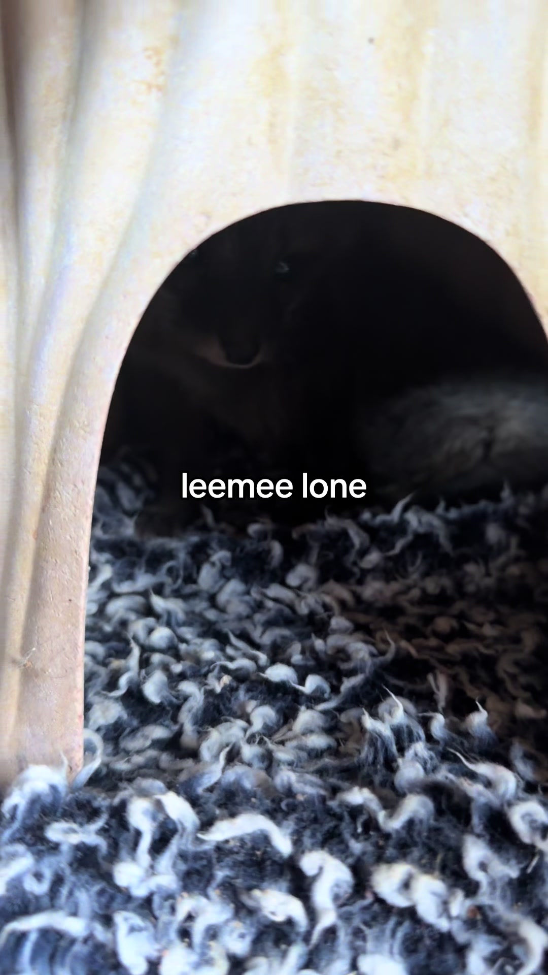 @For Fox Sake Wildlife Rescue