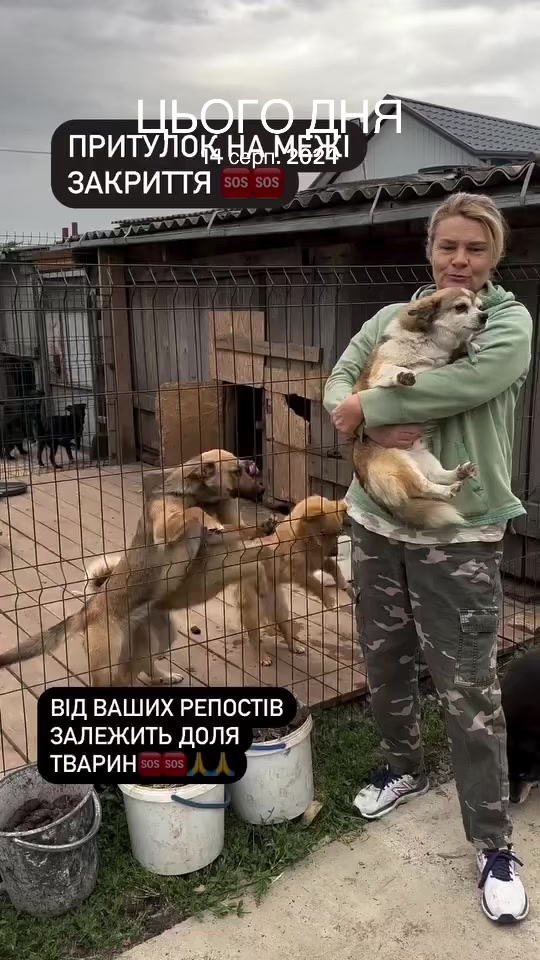@Світлана Ткачук