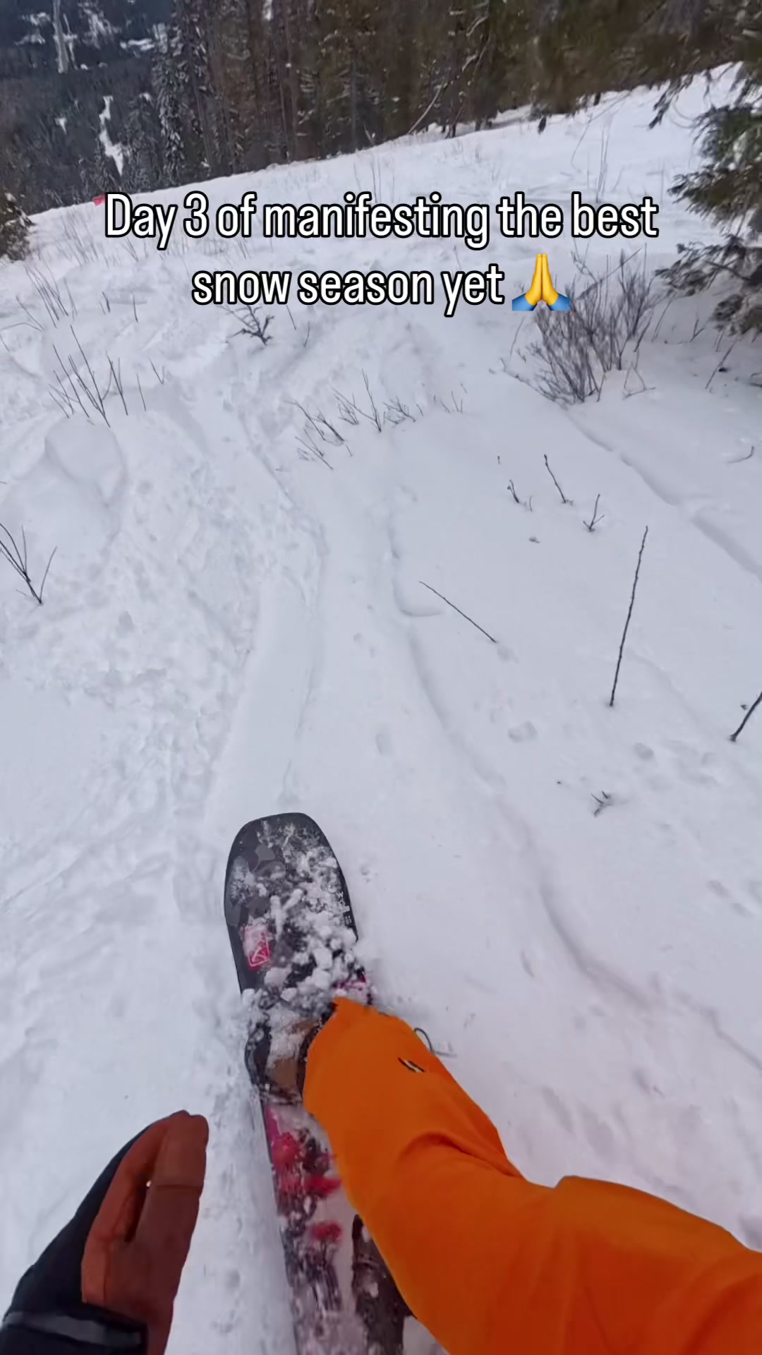 @Boards Bikes and Hikes